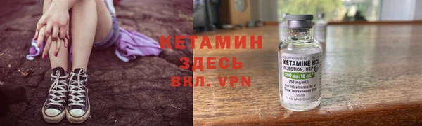 гашик Алексин