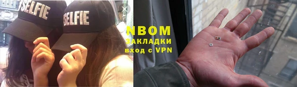 гашик Алексин