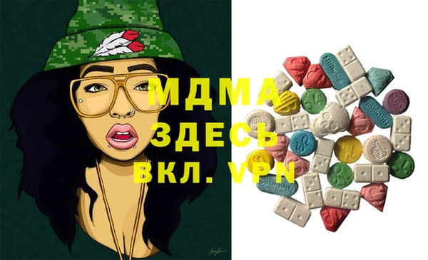 гашик Алексин